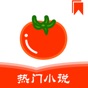 番茄热门小说 全本小说大全电子书阅读器 app download