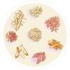 中藥與我 icon