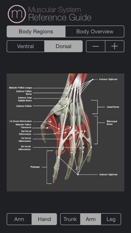 Muscle Study Guide Packのおすすめ画像4