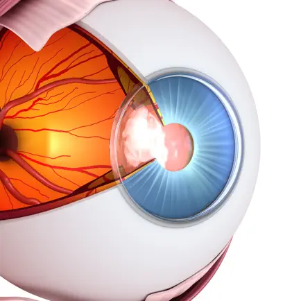 Vision Workout : Eye Training Cheats