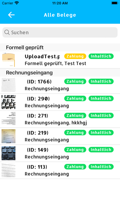 Taxflow Austria Screenshot