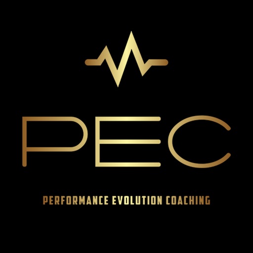 Performance Evolution Coaching