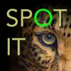 Spot it Photo Hunt Game Positive Reviews, comments