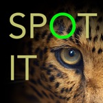 Download Spot it Photo Hunt Game app