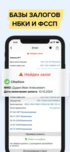 Штрафы гибдд ру и дром эксперт screenshot #8 for iPhone