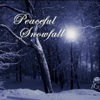 Peaceful Snowfall