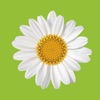 Modern Gardens: Makeover Tips icon