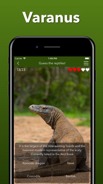 Animals Kingdom: Zoo Wild Quiz screenshot-5