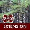 MSUES Southern Pine Thinning icon