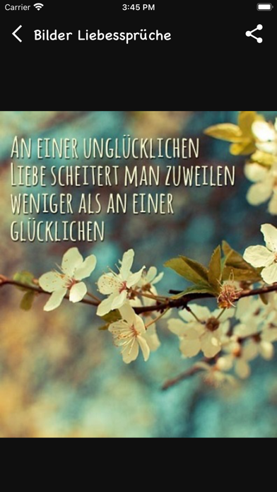 Schöne Liebessprüche Screenshot