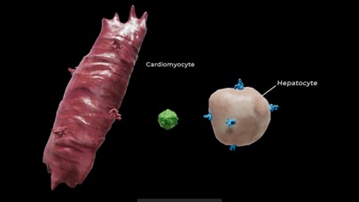 Turning Genes into Medicine Screenshot