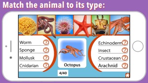 Animal Kingdom (Invertebrates) screenshot #6 for iPhone