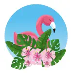 Watercolor Flamingo Stickers App Contact