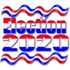Election 2020 Electoral Votes icon