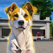 Virtual Pet Adoption Simulator