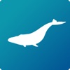 Blue Whale AR Encounter icon