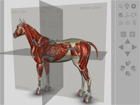 3D Horse Anatomy Softwareのおすすめ画像6