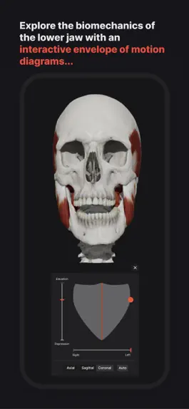 Game screenshot Skull, Teeth & TMJ mod apk