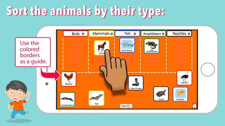 Animal Kingdom (Vertebrates) screenshot-5