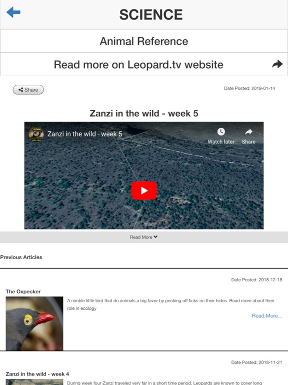 Screenshot #6 pour Leopard.tv Wildlife magazine