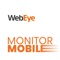 WebEye Monitor Mobile offers you a remote access to real time information required for vehicle fleet management – you can keep control even you are away from the office