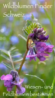 wildblumen finder schweiz iphone bildschirmfoto 1