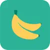 BLW Brasil - Alimentação Bebês App Support