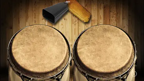 Bongos!