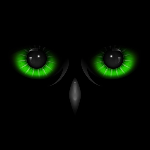 Night Eyes - Night Camera Icon