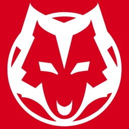 Lupo pizza & streetfood