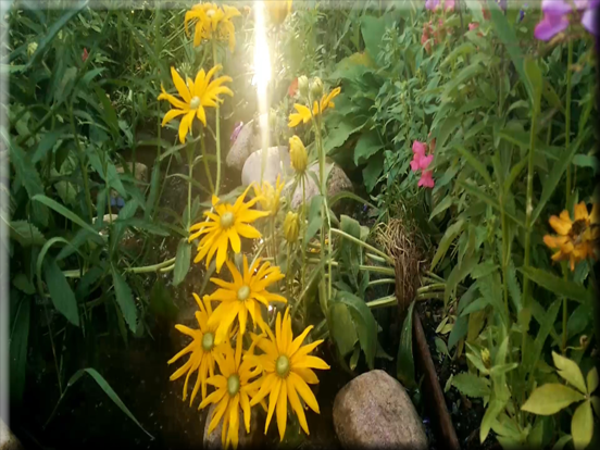 Epic Fire! iPad screenshot 9 - Lifestyle app