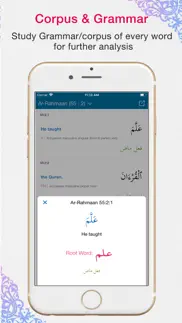 quran app read,listen,search iphone screenshot 3