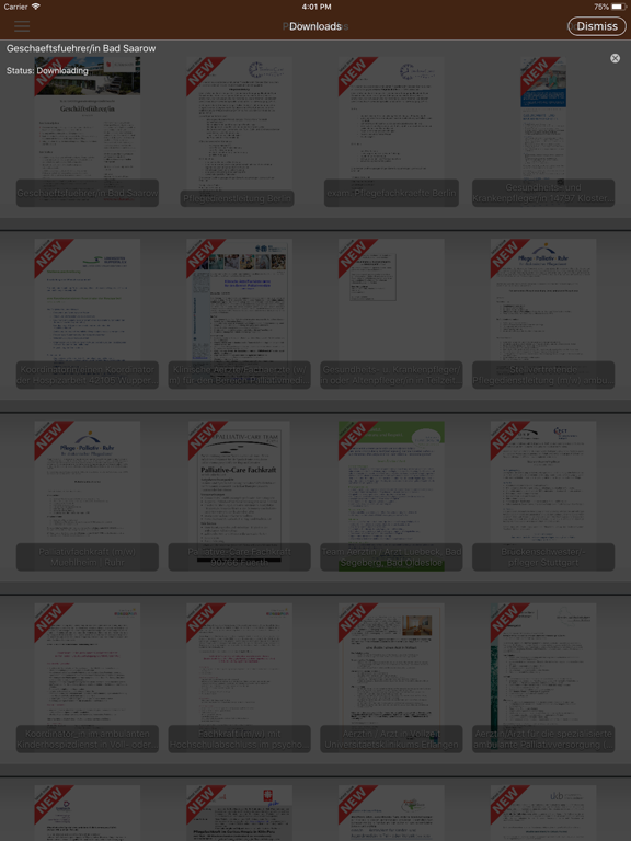 Screenshot #6 pour Palliativ-Jobs