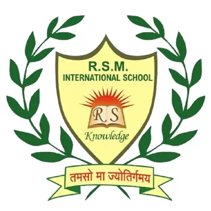 RSM International School Cheats