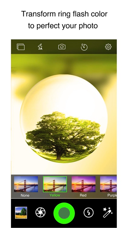 Fisheye Plus Pro screenshot-7