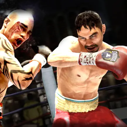 Boxing Fight Night Champion Cheats