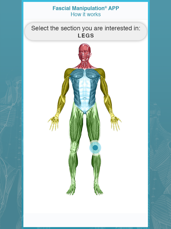 Screenshot #5 pour FM App