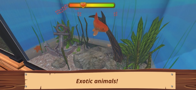 Pet World - Abrigo de animais – Apps no Google Play