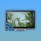Make your TV a lively fish tank