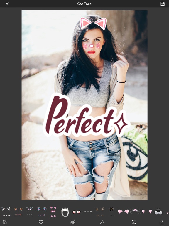 Animal Face changer funny pics iPad screenshot 4 - Photo & Video app