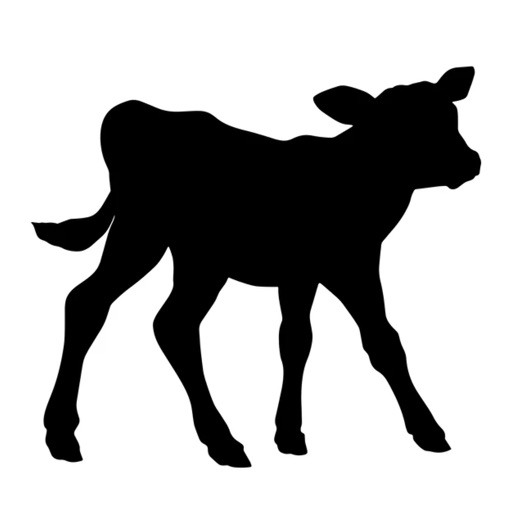 Calf Stickers