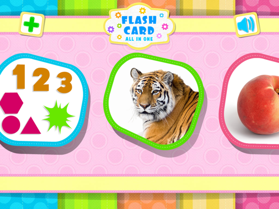 Screenshot #4 pour Flash Cards All In One