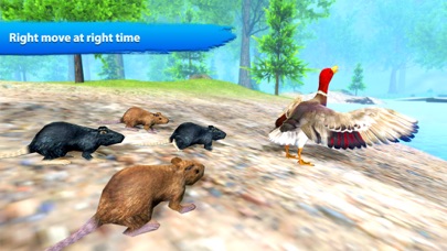 Flying duck family simulator Screenshot