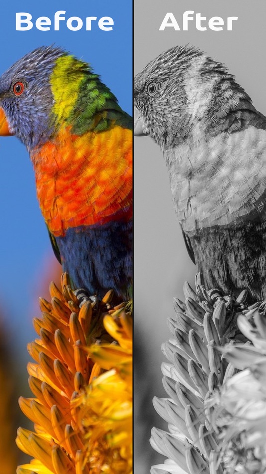 #5. Photo Presets & Filters Pro (iOS) بواسطة: The Anode Group