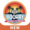 Boorry icon