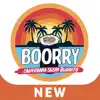 Boorry App Feedback