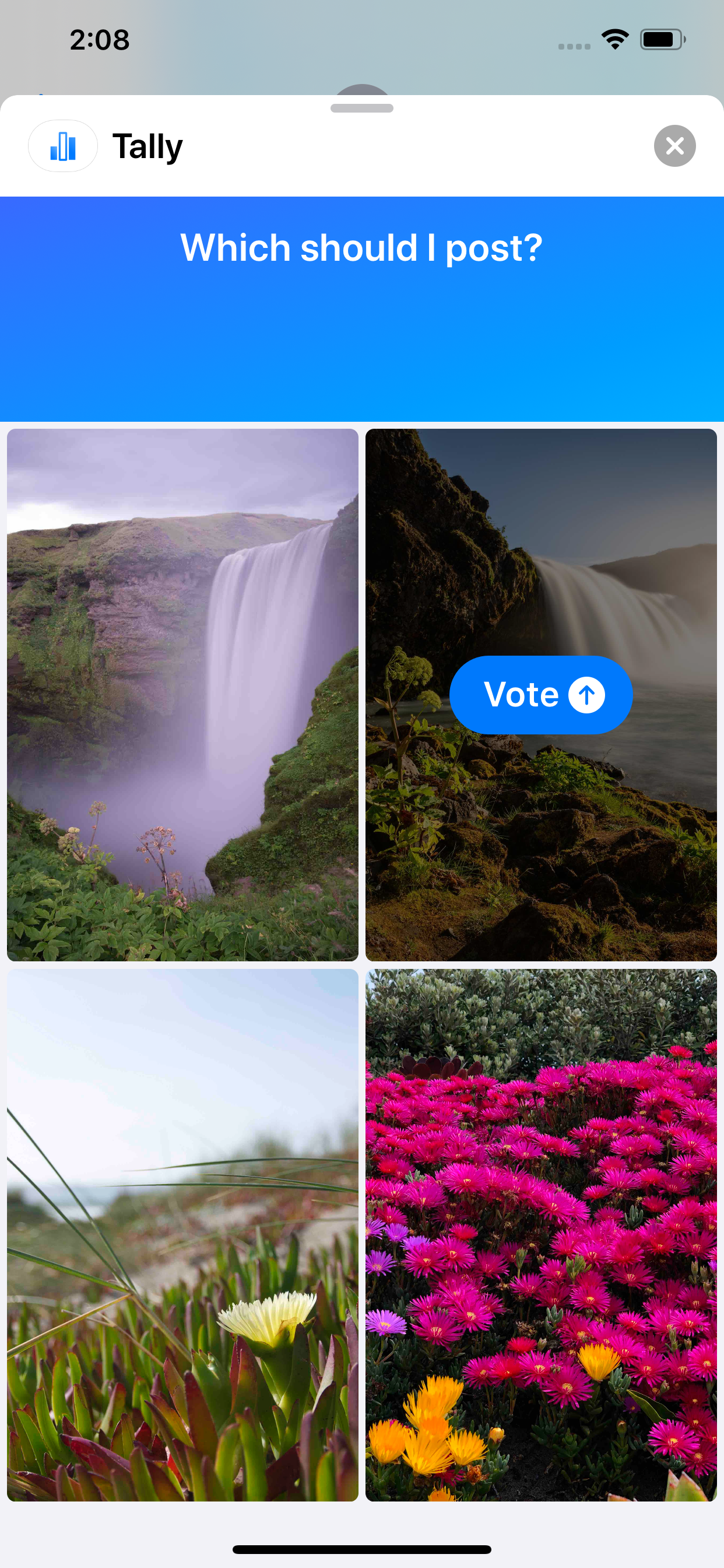 Tally - Polls for iMessage