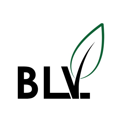 BLV Energy Solutions