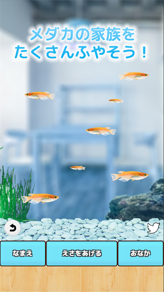 #3. メダカ育成げーむ (iOS) 由: Canvas soft