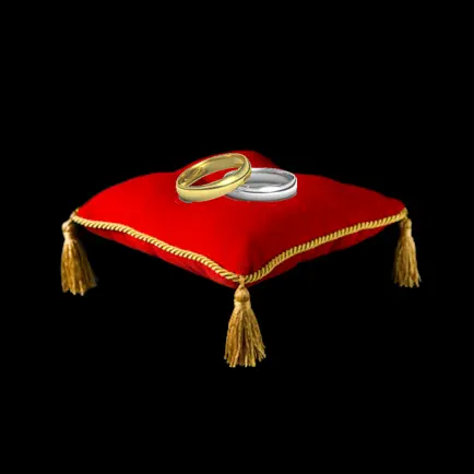 Wedding Ring Sitter Читы